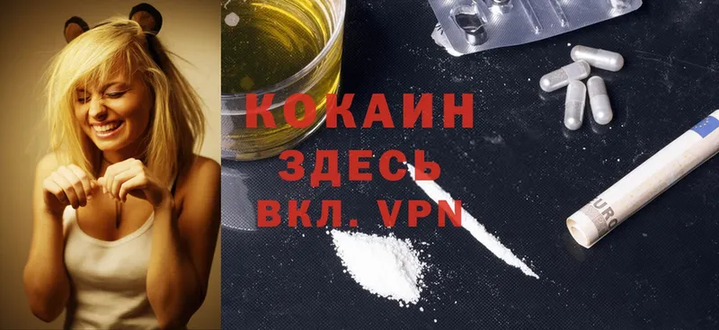 как найти закладки  Каменка  COCAIN VHQ 