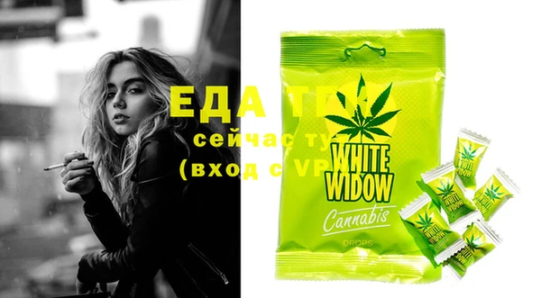 хмурый Няндома