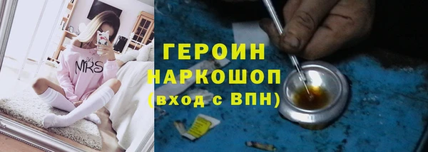 хмурый Няндома