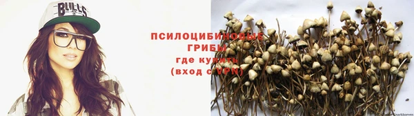 индика Переславль-Залесский