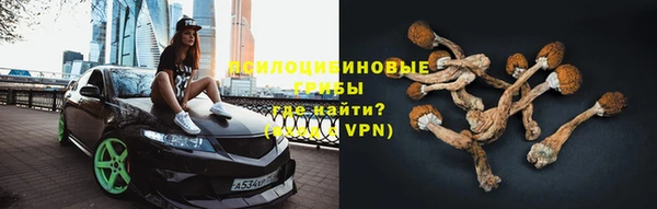 PSILOCYBIN Нягань