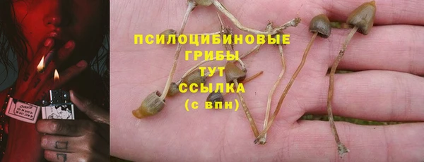 мдпв Зарайск
