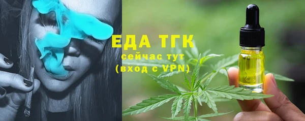 индика Переславль-Залесский