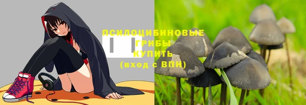 PSILOCYBIN Нягань