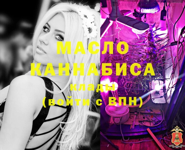 индика Переславль-Залесский