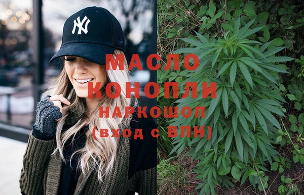 индика Переславль-Залесский