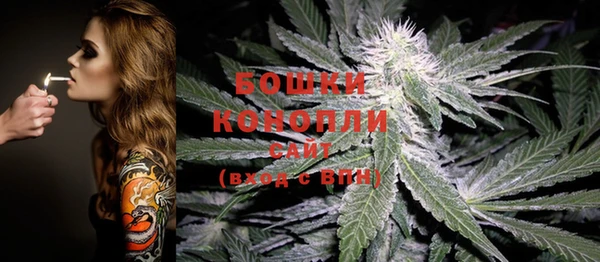 хмурый Няндома