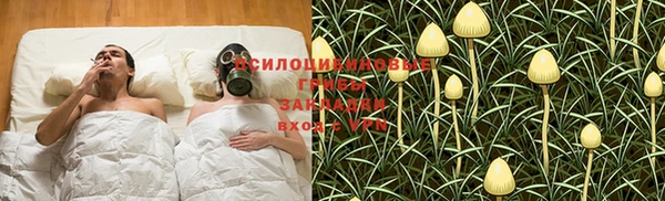 MESCALINE Нязепетровск