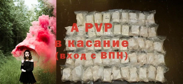 хмурый Няндома