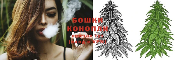 PSILOCYBIN Нягань