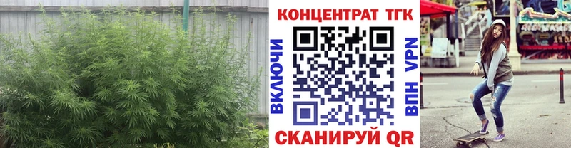 ТГК THC oil  Каменка 
