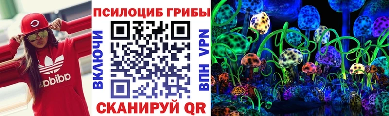 дарнет шоп  Каменка  Галлюциногенные грибы Psilocybine cubensis 