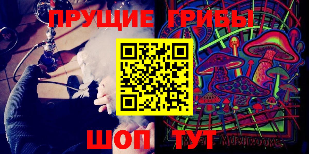 Галлюциногенные грибы Psilocybe  Каменка 