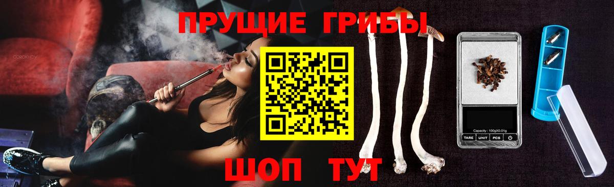 Псилоцибиновые грибы мицелий Каменка
