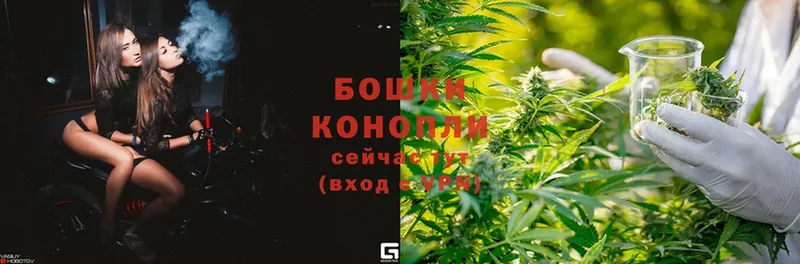 Шишки марихуана White Widow  Каменка 