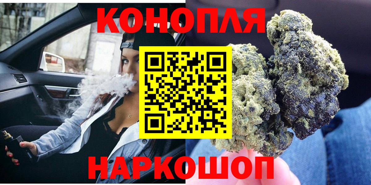 Каннабис конопля  Каннабис индика  Каменка  МАРИХУАНА OG Kush  Каннабис план 